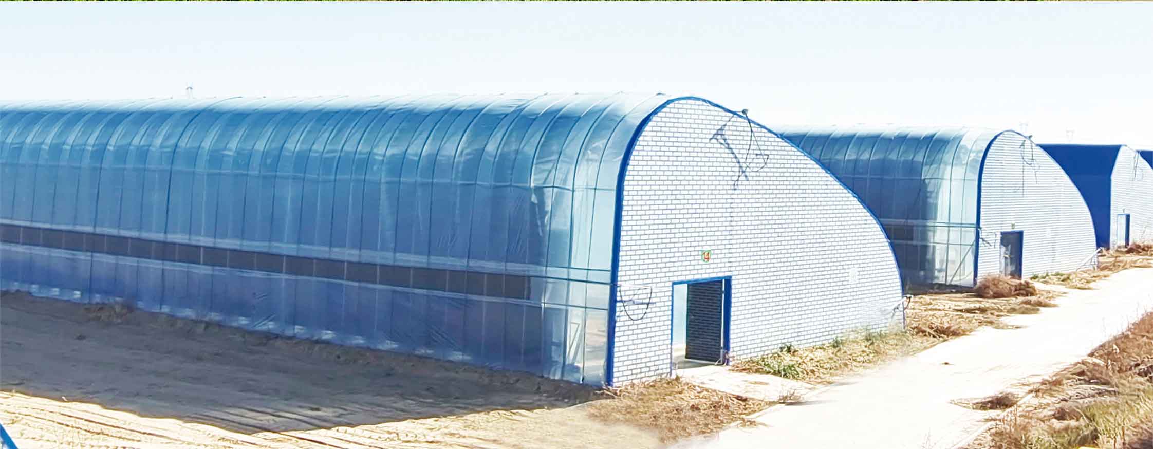 2、冬室夏棚網頁_10.jpg